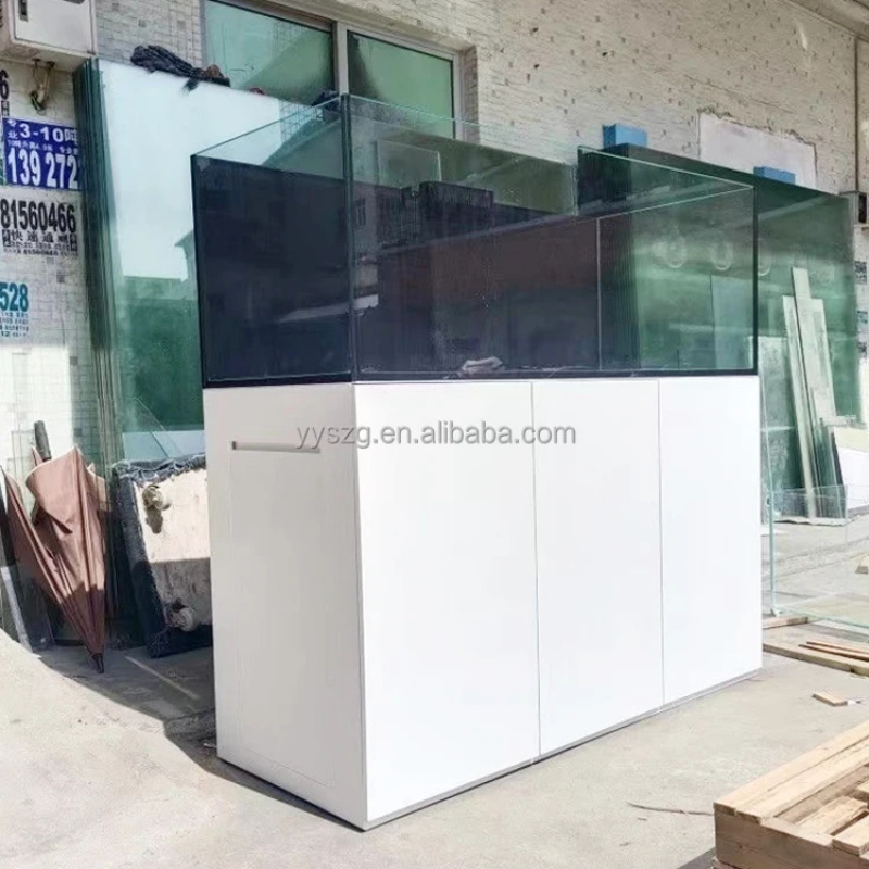 Op maat gemaakt modern luxe BD - Sustainable Living Design recensie en prijs